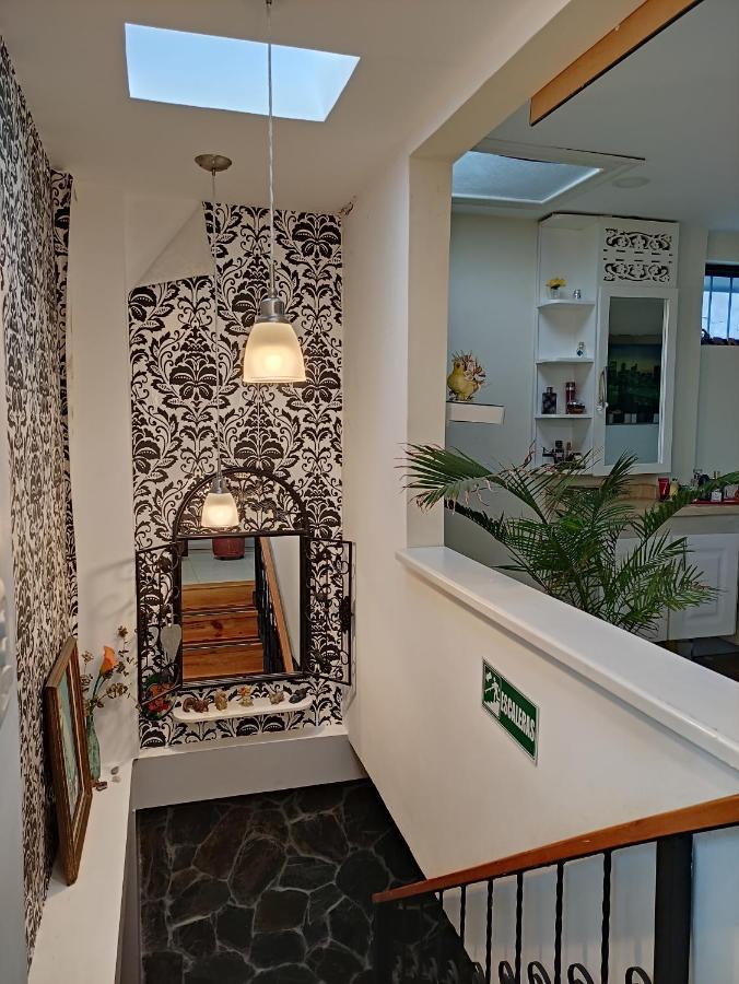 Los Andes Hostal Filandia Exterior photo